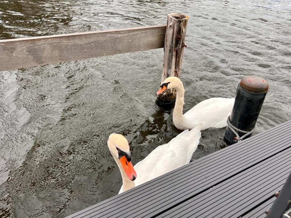 Quiet Waterloft Near Amsterdam And Schiphol Ws11 Ξενοδοχείο Άαλσμιρ Εξωτερικό φωτογραφία